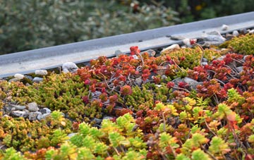 the cost of Abbey Mead green roof installation