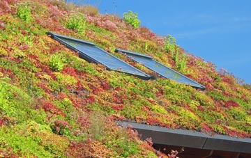 Abbey Mead living roof systems