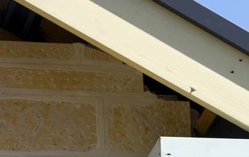 soffit repair Abbey Mead